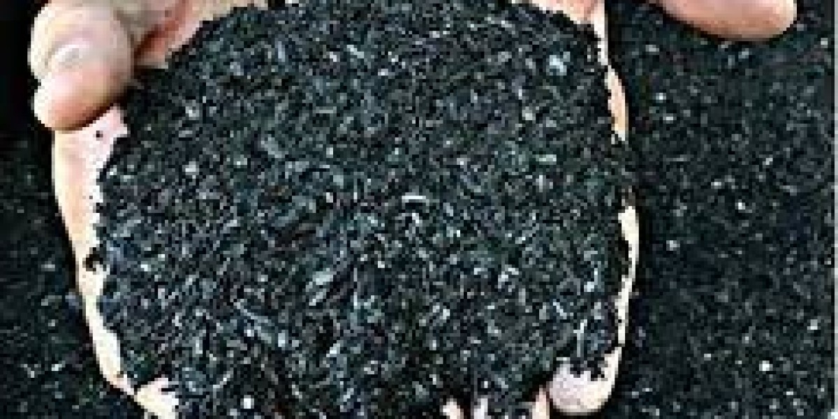 Global Biochar Market Size, Share, Forecast 2023 - 2033