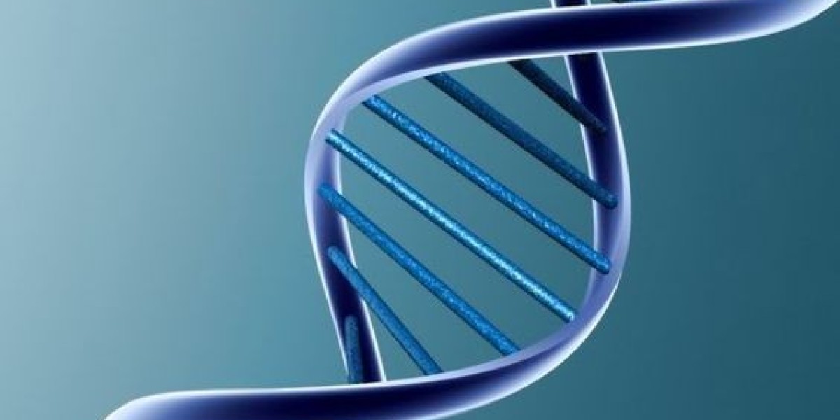 A Parent’s Guide to DNA Testing in Riyadh for Newborns
