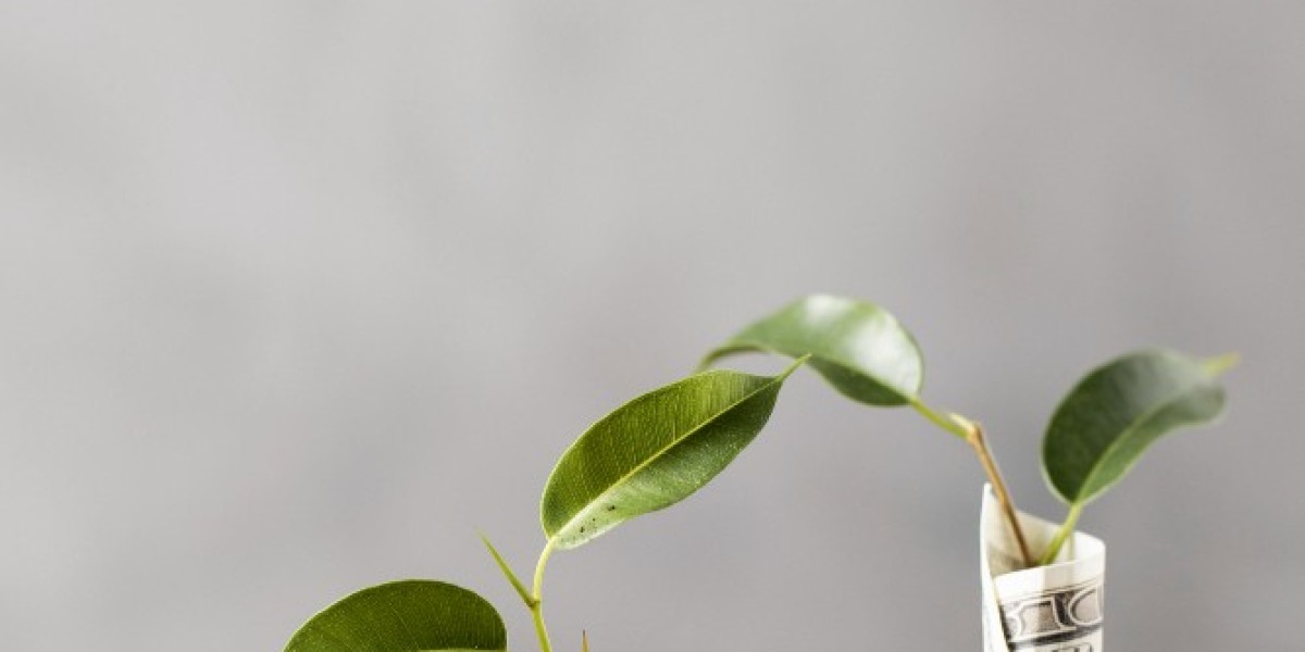 Global Microfinance Market: Key Trends, Growth Opportunities, and Future Outlook