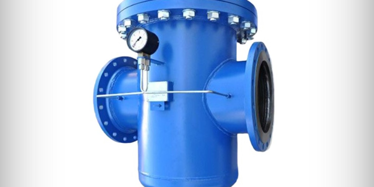 Strainers Valve manufacturer in India