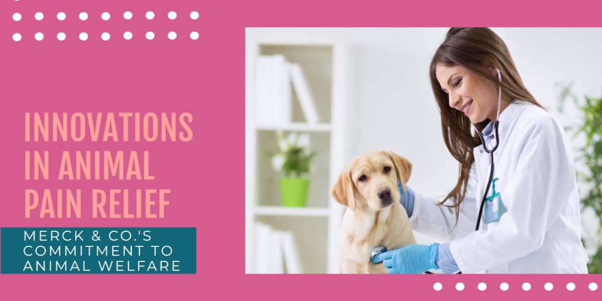 Zoetis Leads the Veterinary Pain Management Market with Advanced Drug Formulations
