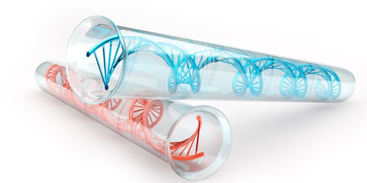 Global Nucleic Acid Isolation and Purification Market Size, Share, Growth and Forecast 2030