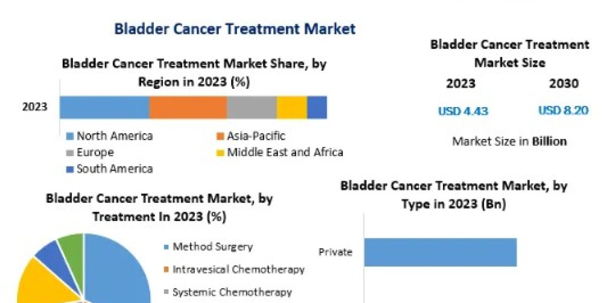 Bladder Cancer Treatment Market Size, Share, Growth, Trends, Applications, and Industry Strategies-2030