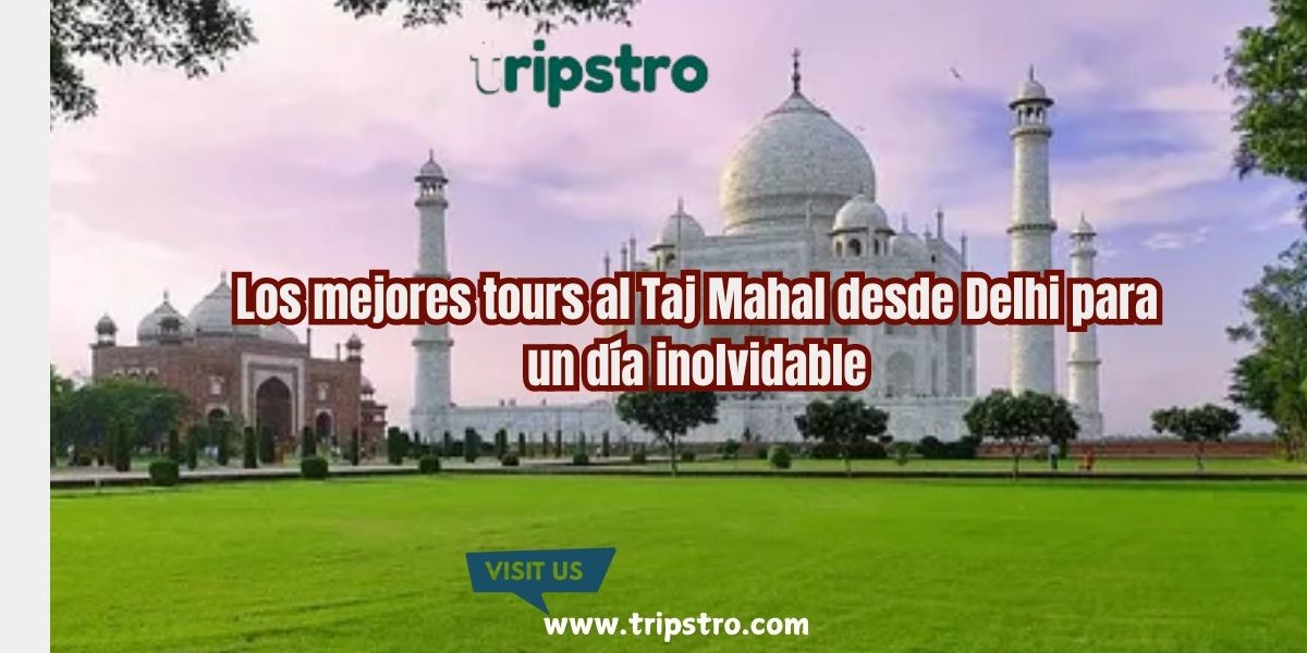 Los mejores tours al Taj Mahal desde Delhi para un día inolvidable