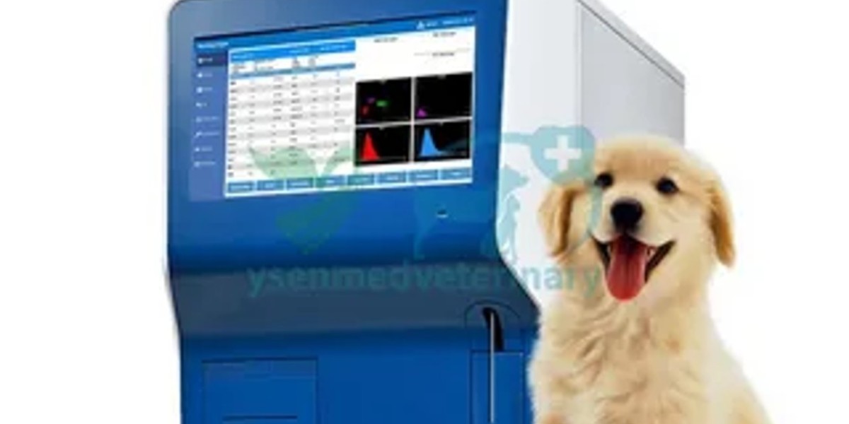 Veterinary Blood Lactate Test Meter Equipment: Understanding Veterinary Blood Tests