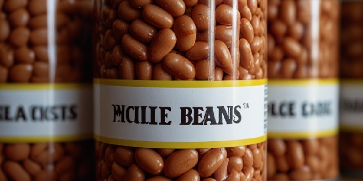 Canned Beans Manufacturing Project Cost 2024: Plant Setup and Industry Trends