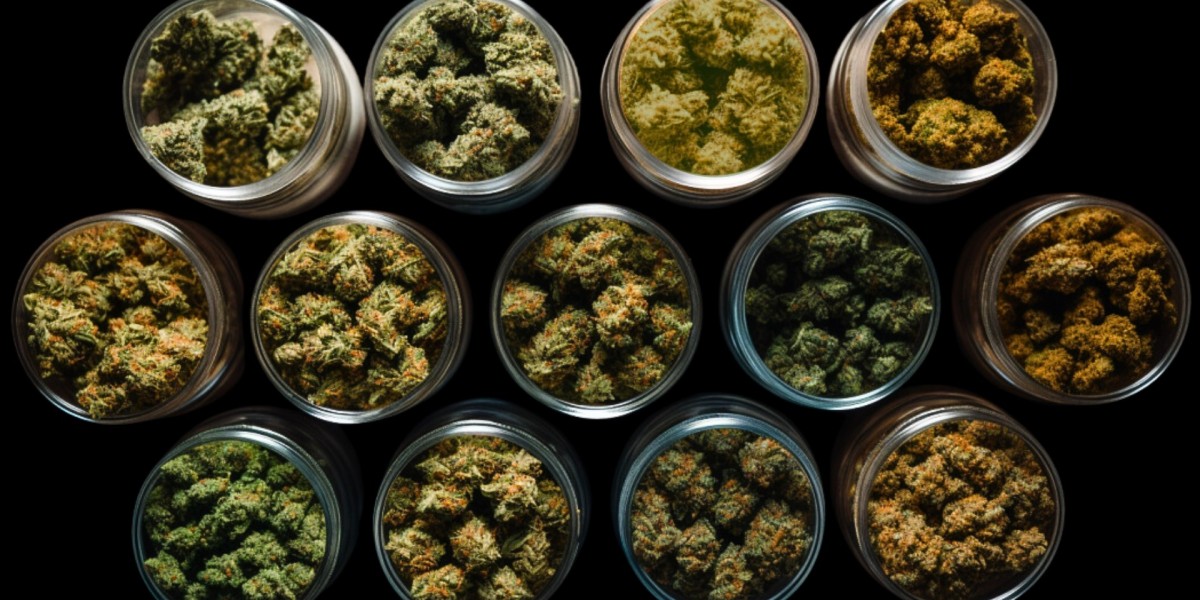 Discover the Highest Quality Cannabis Products at Garden Grove's Best Weed Dispensary