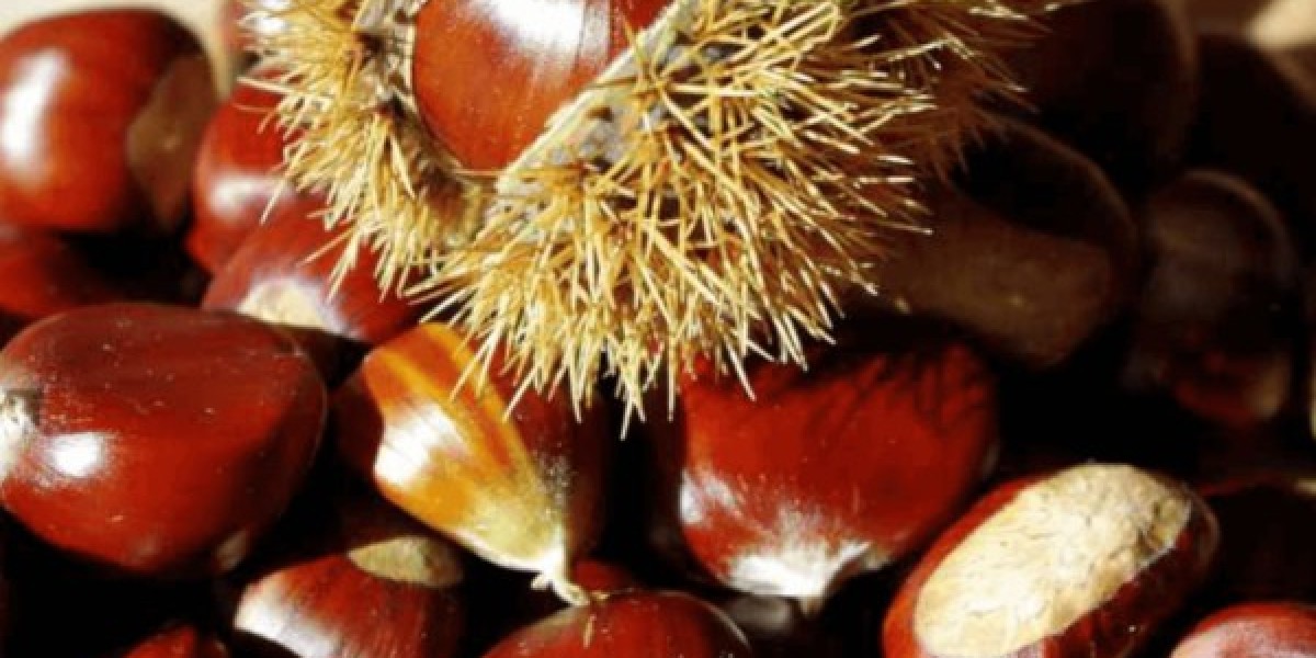 Supermarket and Specialty Store Trends in the Chestnut Market