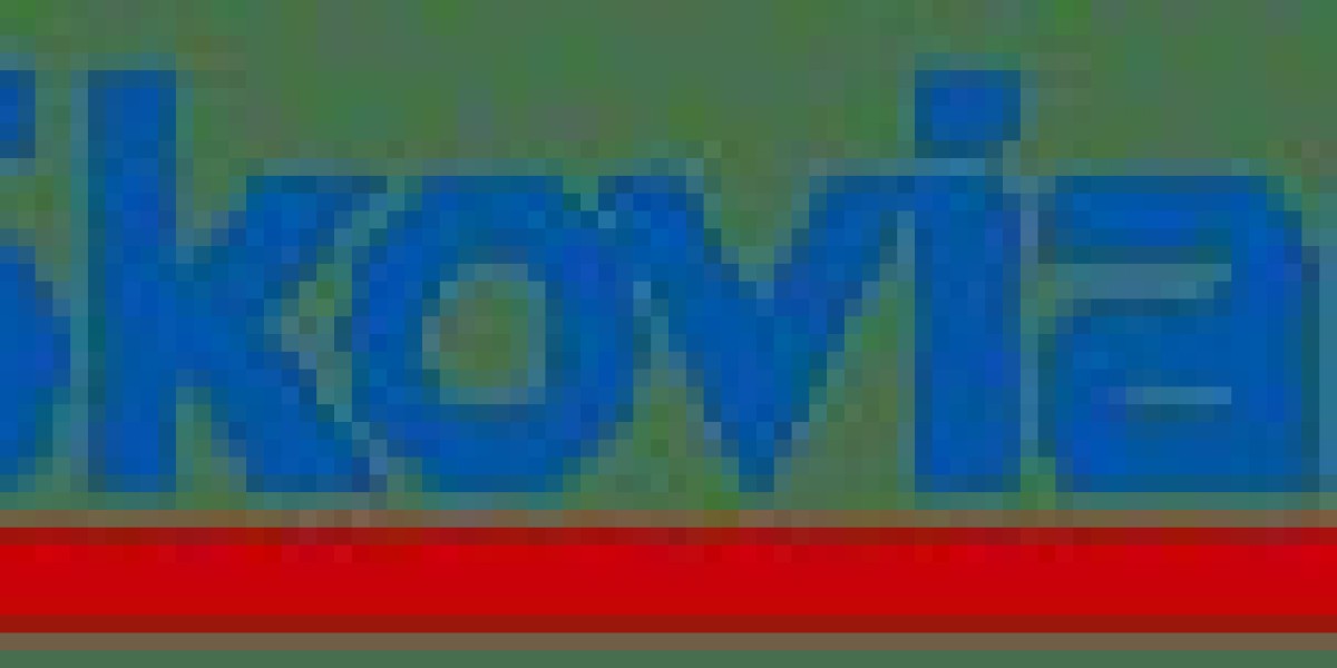 SEO Services in Pune By Skovian Ventures
