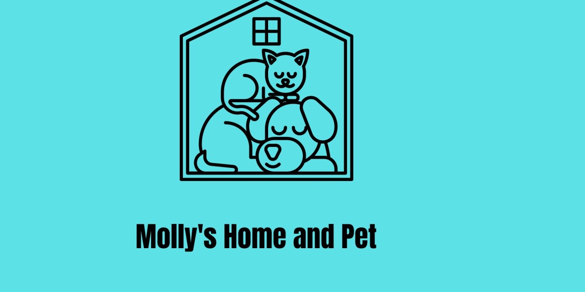Molly’s Home and Pet: Your Go-To for House Cleaning and Pet Sitting Services