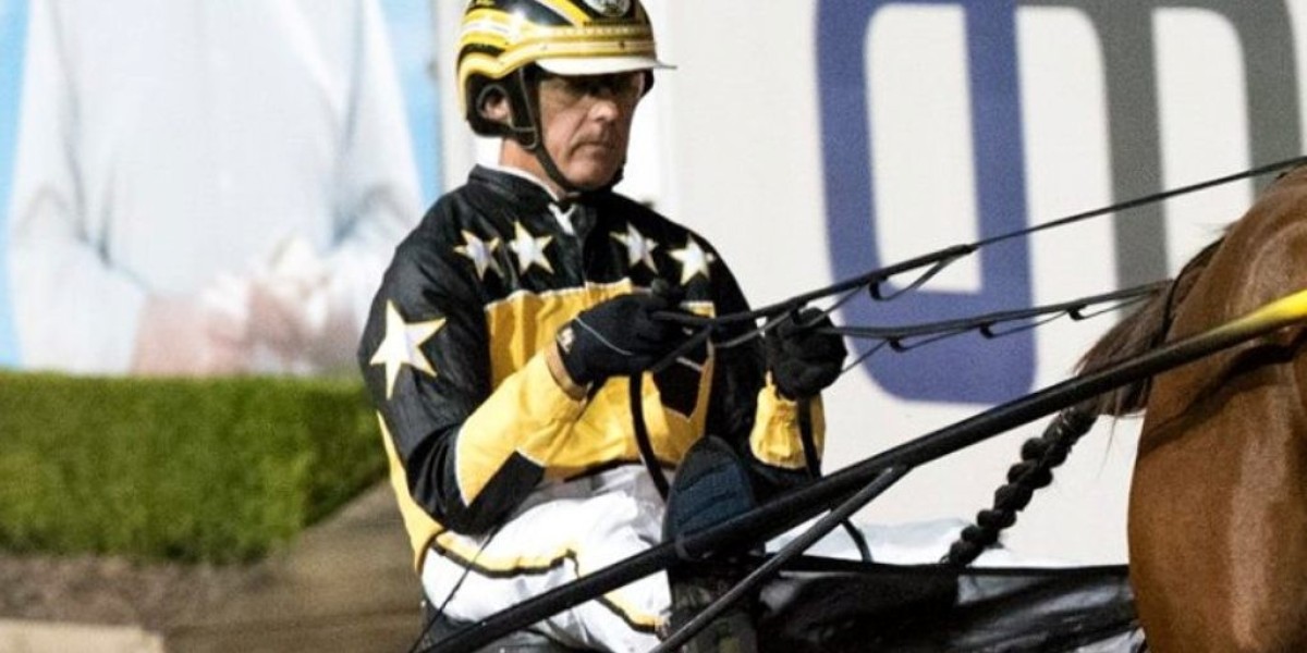 harness racing in brisbane