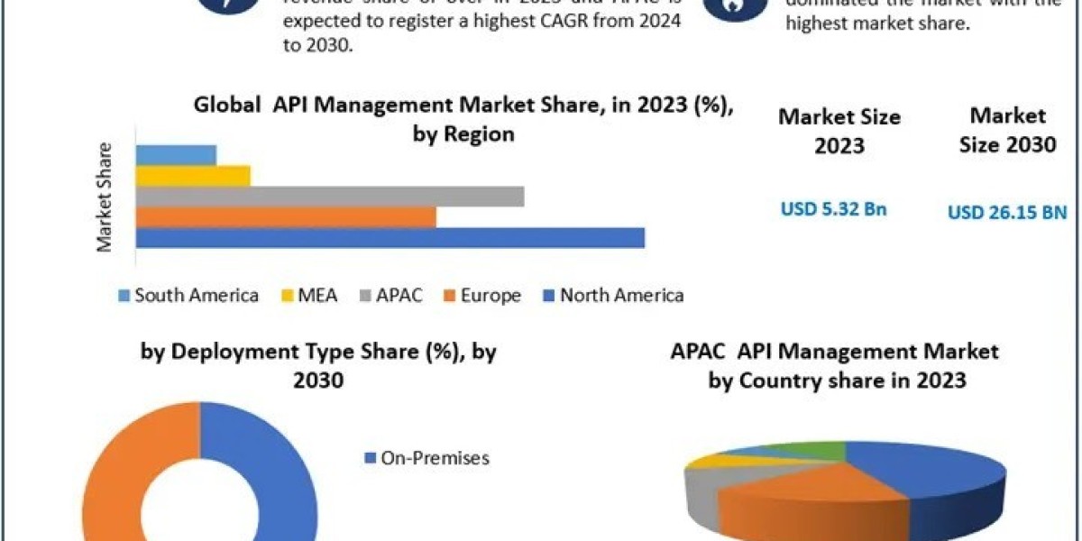 API Management Market Development Status, Top Players, Trends and Forecast to , 2030