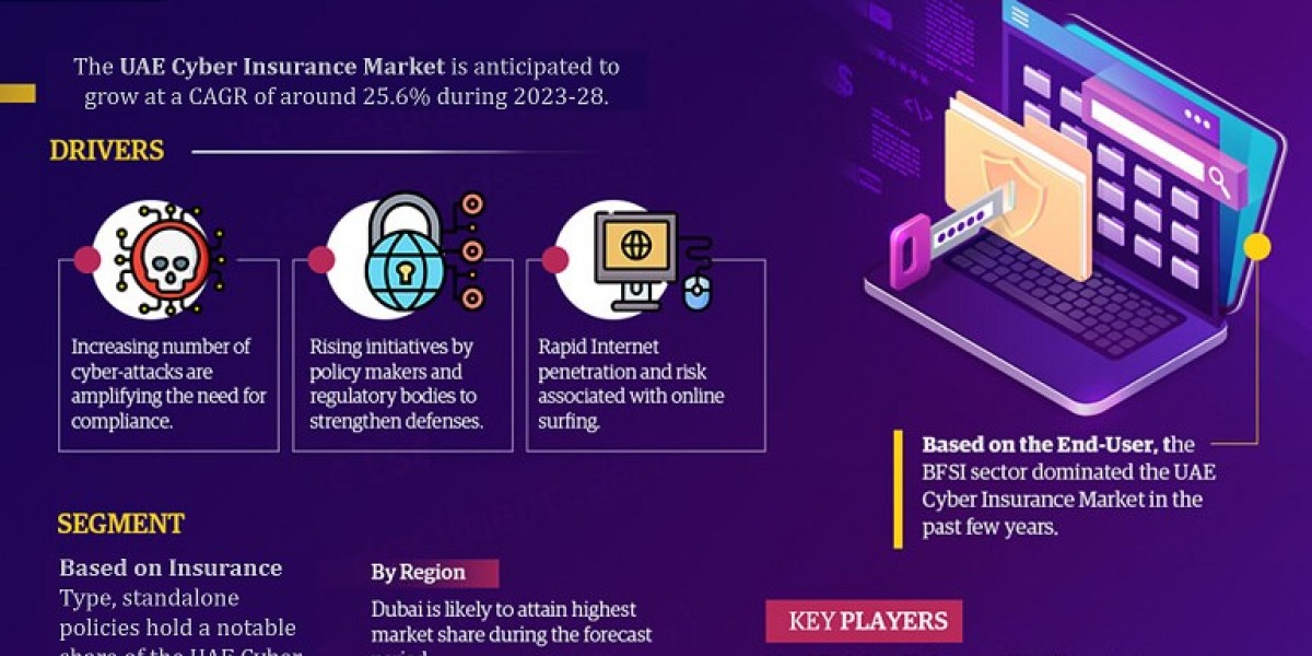 Key Manufacturers Operating in UAE Cyber Insurance Market to Hit Lucrative Growth CAGR of 25.6% by 2028