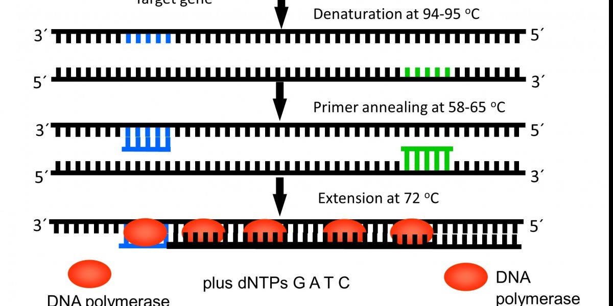 Global Polymerase Chain Reaction Market Size, Share, Trends Forecasts TO 2032