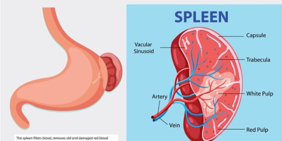 Why Patients Choose the Best Spleen Surgery in Delhi: Top Surgeons and Advanced Care