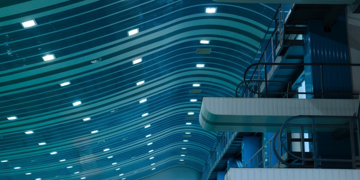 "Global Industrial and Commercial LED Lighting Market Growth, Trends, and Forecast 2024"