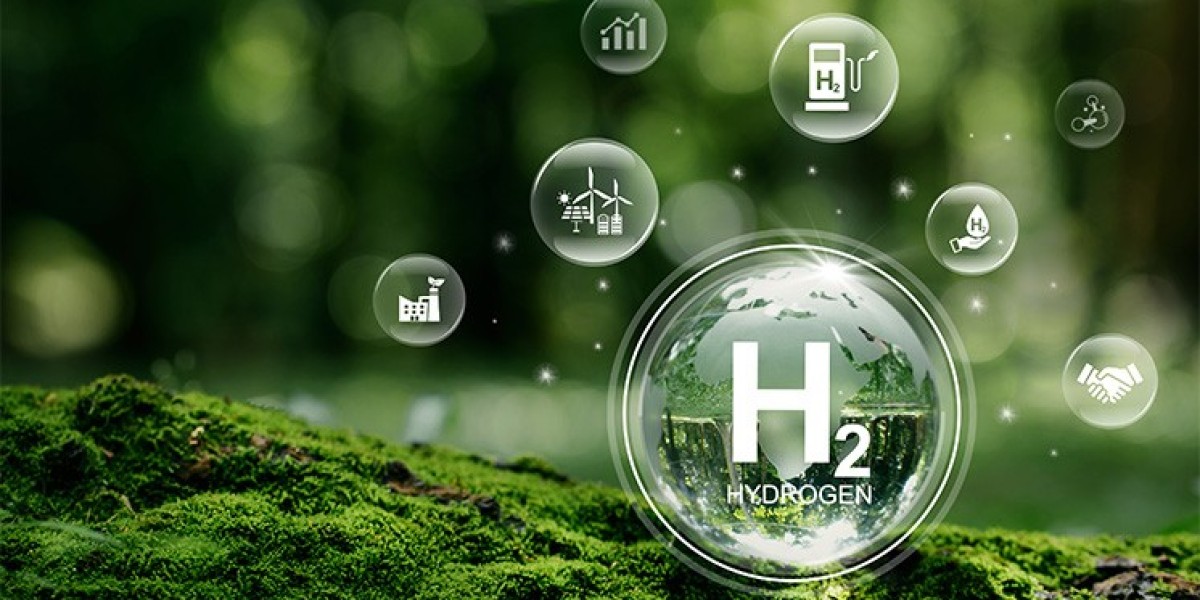 Hydrogen Production Cost Analysis 2024: Profit Margins, Capital Investment and Price Trends