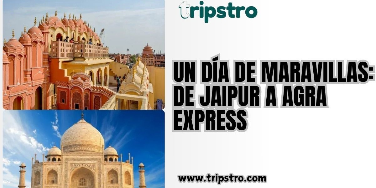 Un día de maravillas: de Jaipur a Agra Express