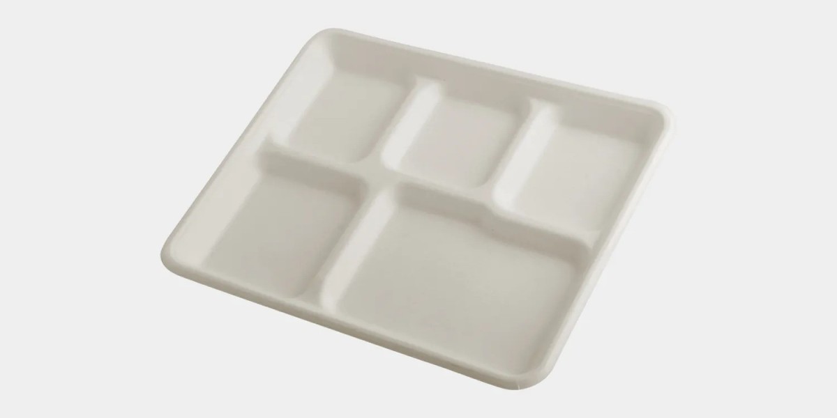 The Convenience of 5 Compartment Disposable Plates for Large Gatherings
