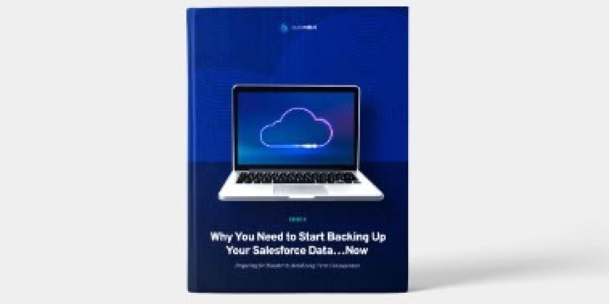 Mastering Your Salesforce Data Recovery: The Power of Version Control