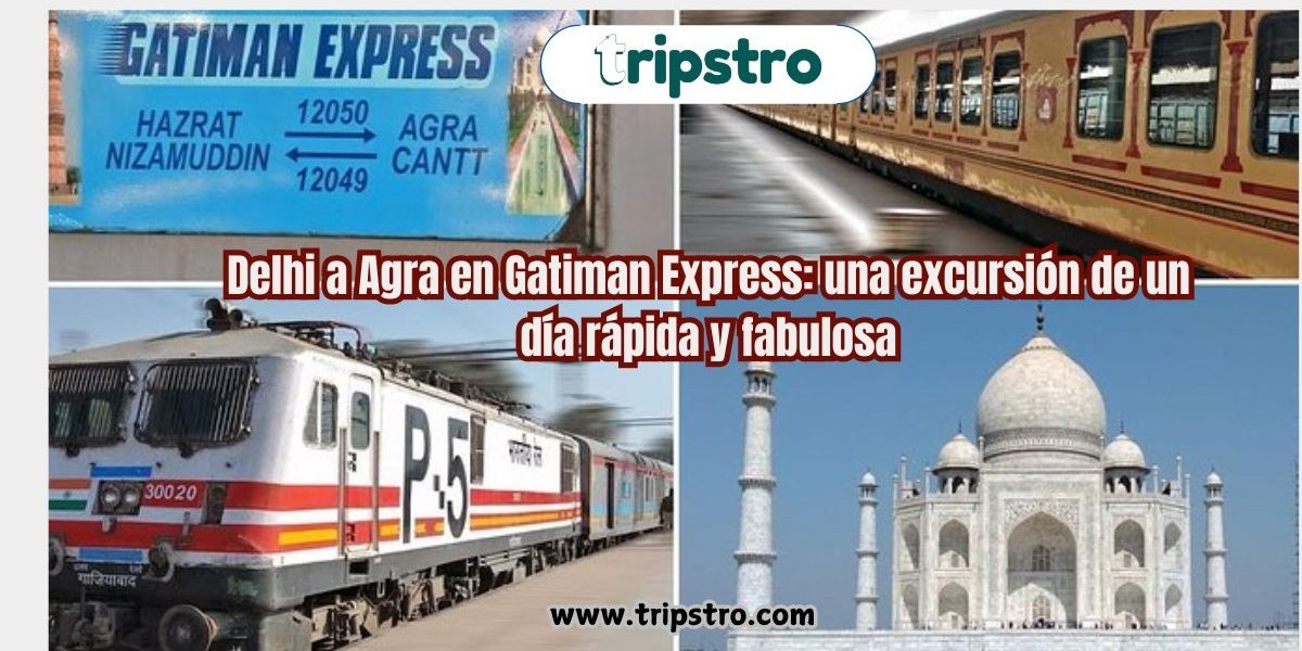 Delhi a Agra en Gatiman Express: una excursión de un día rápida y fabulosa