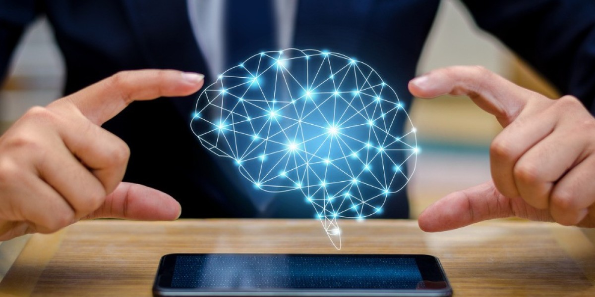 Mental Health Software Market is Being Adopted by Healthcare Institutions Amidst High Burden of Mental Disorders Globall