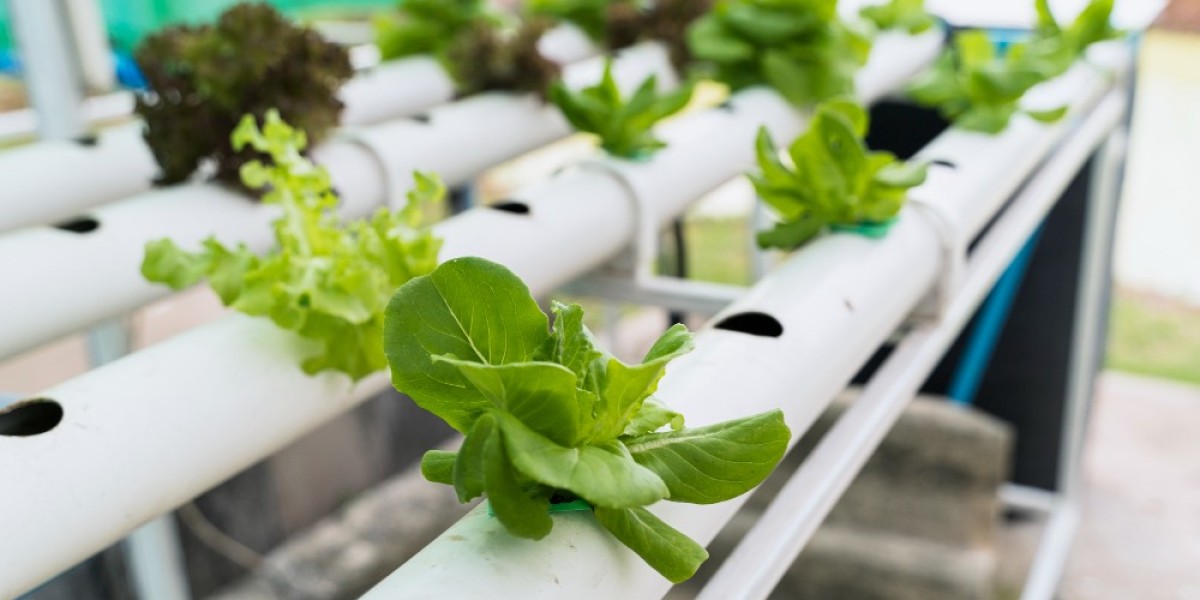 Global Aquaponics and Hydroponics Systems and Equipment Market Analysis Business Revenue Forecast Size Leading Competito