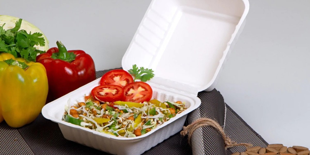 The Sustainability of Sugarcane Food Containers: A Deep Dive into Eco-Friendly Packaging