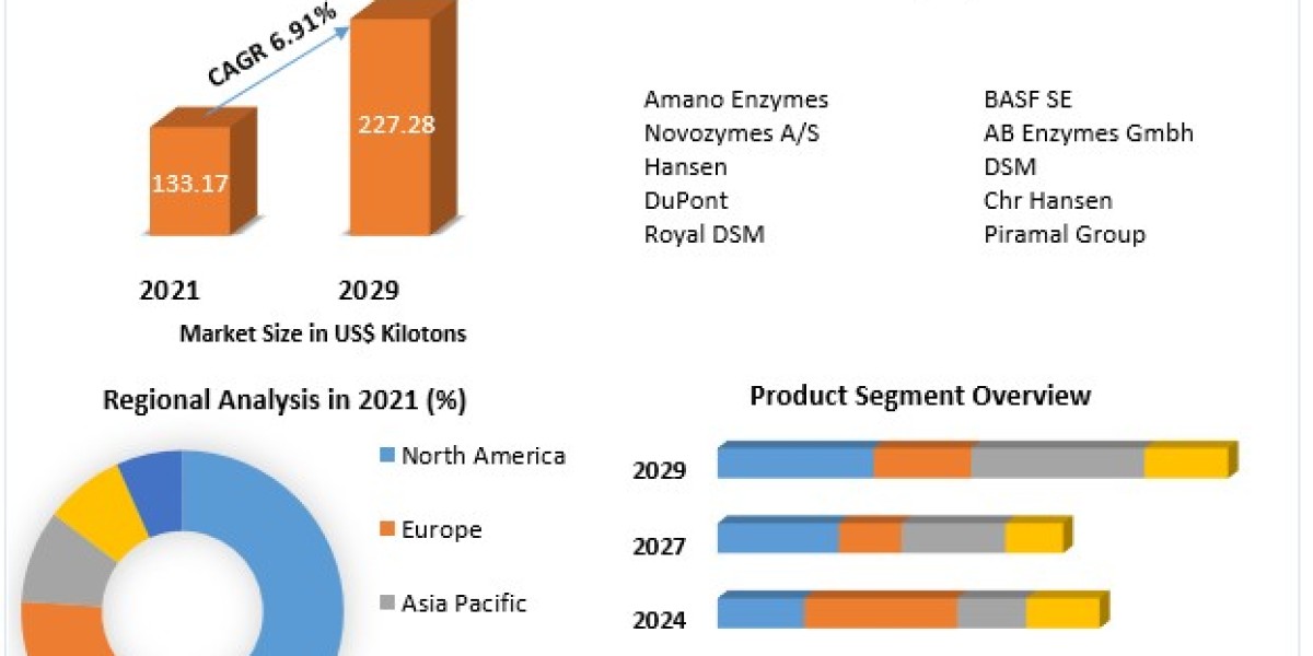 "Navigating the Future: Biocatalysts Market Growth Analysis and Forecast to 2030"