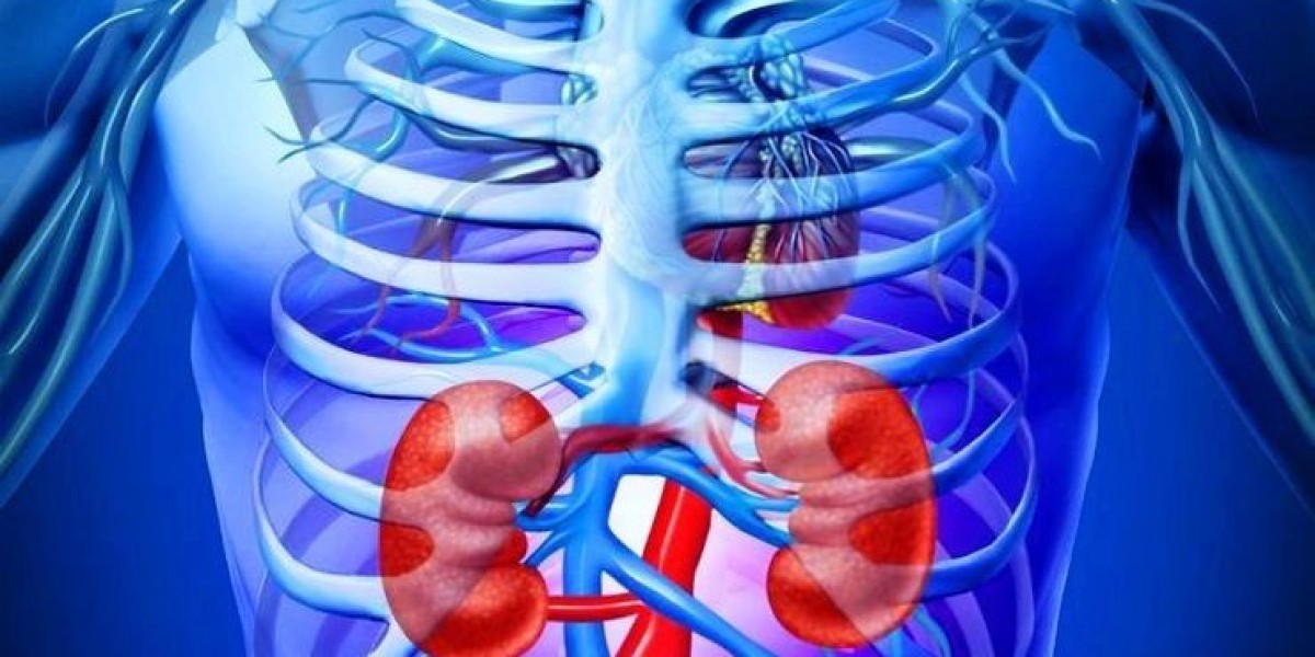 Global Transplant Diagnostics Market Size, Demand, Growth, Forecasts To 2033