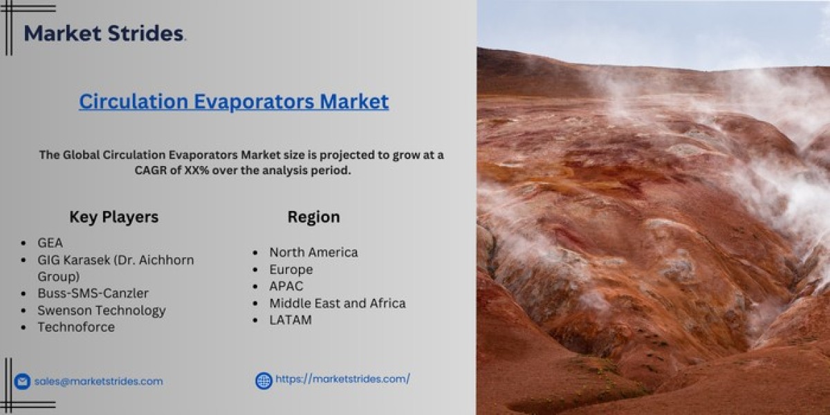 Circulation Evaporators Market Growth: Industry Analysis and Forecast 2031 | Market Strides