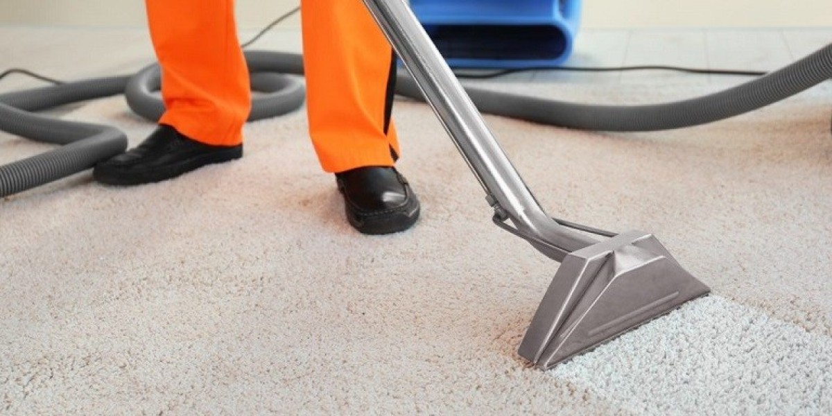 The Benefits of Professional Carpet Cleaning for a Healthier Home Environment