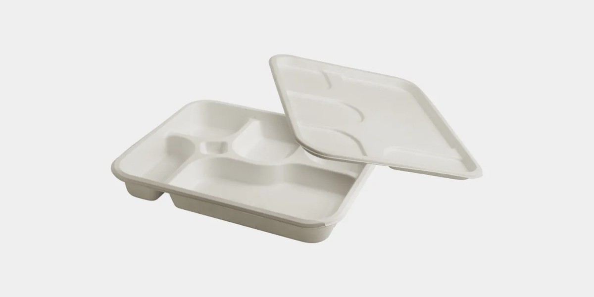 Eco-Friendly Options: Are 5 Compartment Disposable Plates Sustainable?