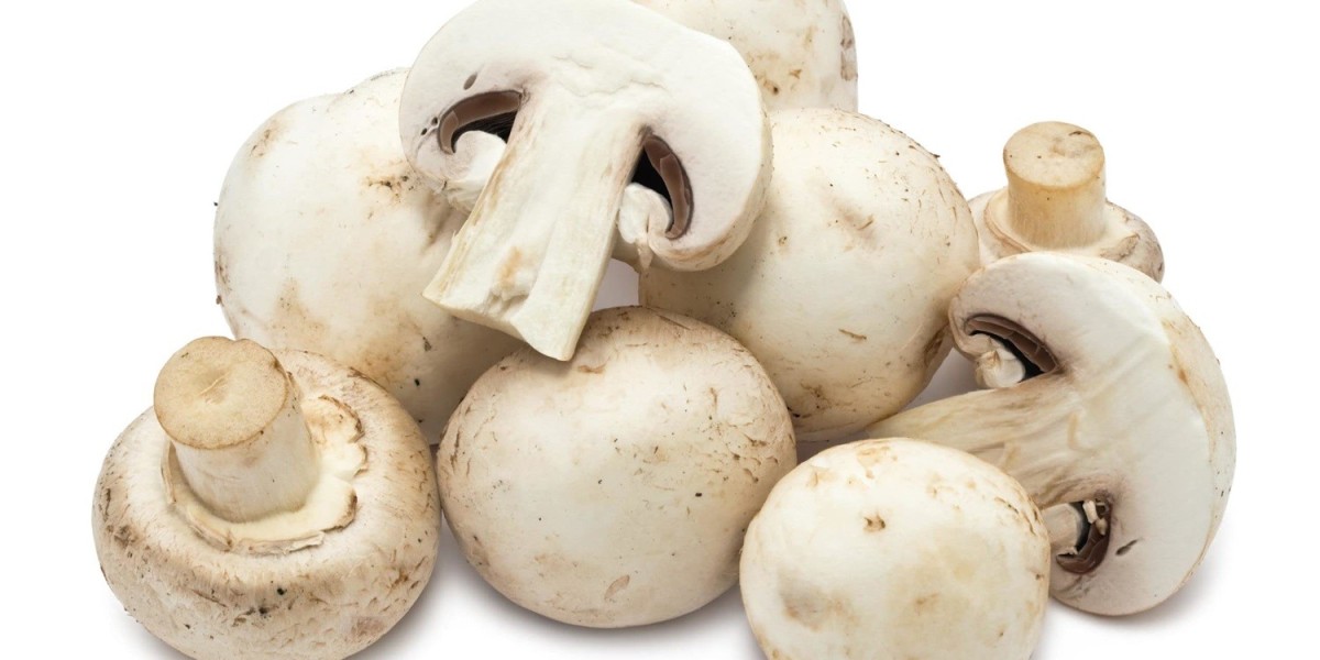 Avalanche Mushroom Industry Is Expected To Gain An Absolute Opportunity Of US$ 133.5 Bn By 2032