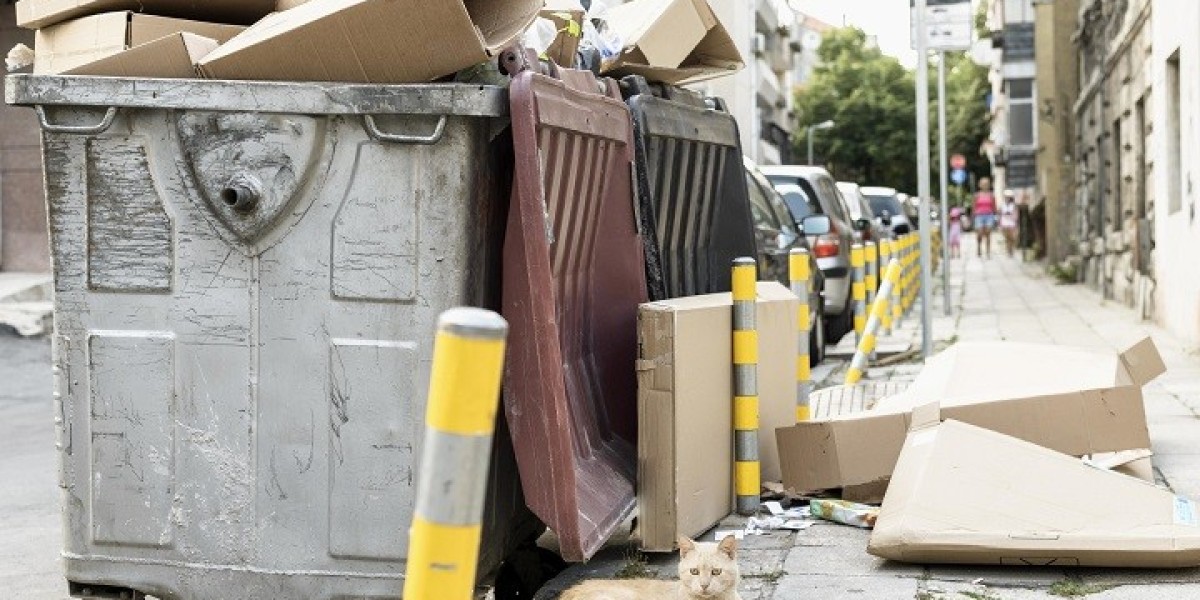 What Should You Look for in Hamilton Junk Removal Services?