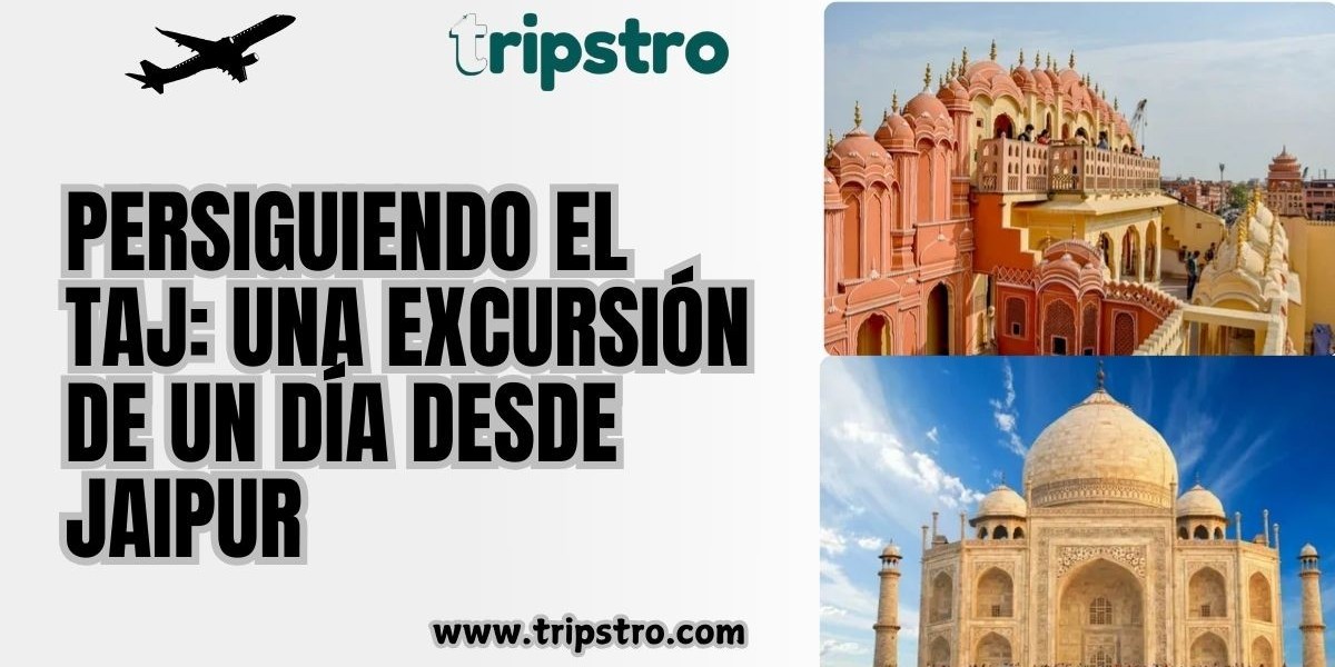 Persiguiendo el Taj: una excursión de un día desde Jaipur
