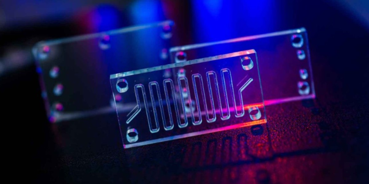 Microfluidic Device Market: Trends, Growth, & Future Prospects for 2024-2032