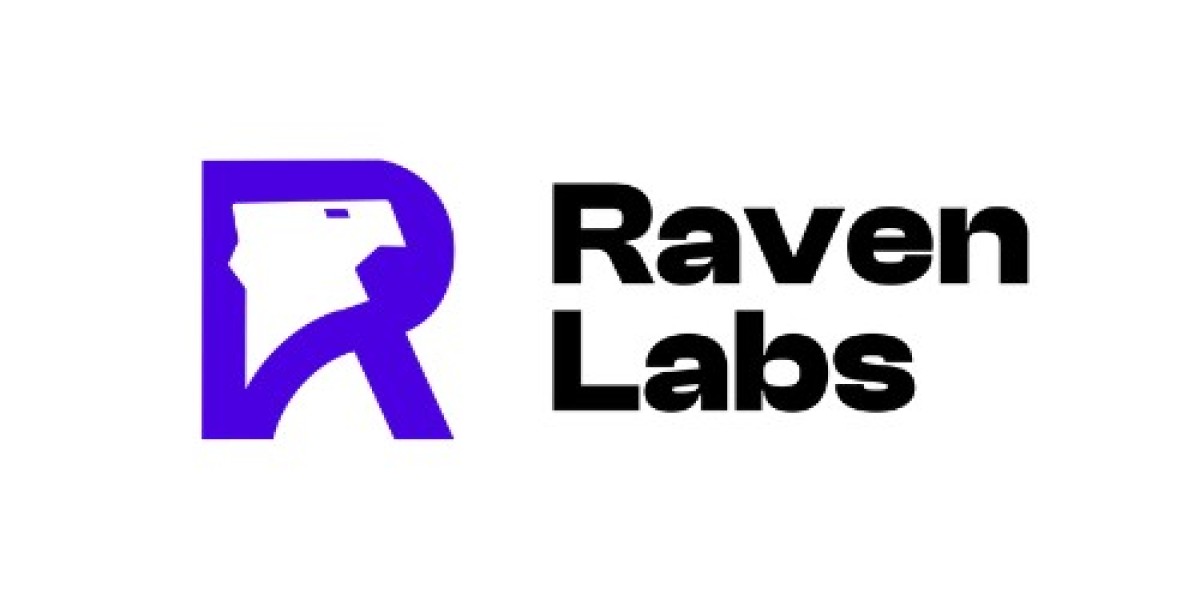 Creating the Future of Technological Solutions at Raven Labs