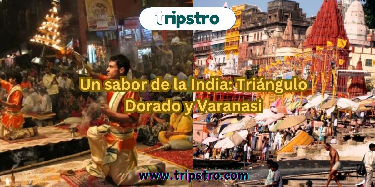 Un sabor de la India: Triángulo Dorado y Varanasi