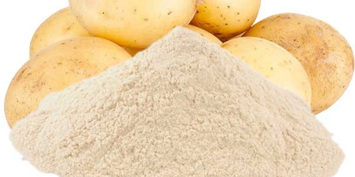 Potato Protein Market is Expected to Gain Popularity Across the Globe by 2031