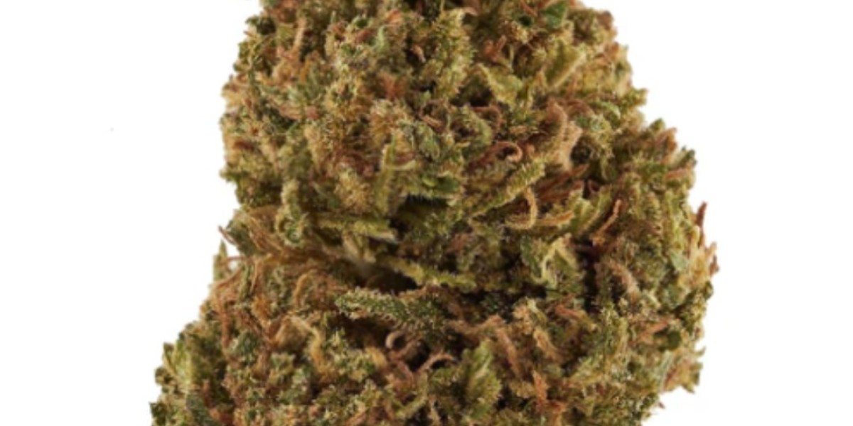 Exploring the Wonders of THCA Hemp Flower at Dreamland Organics