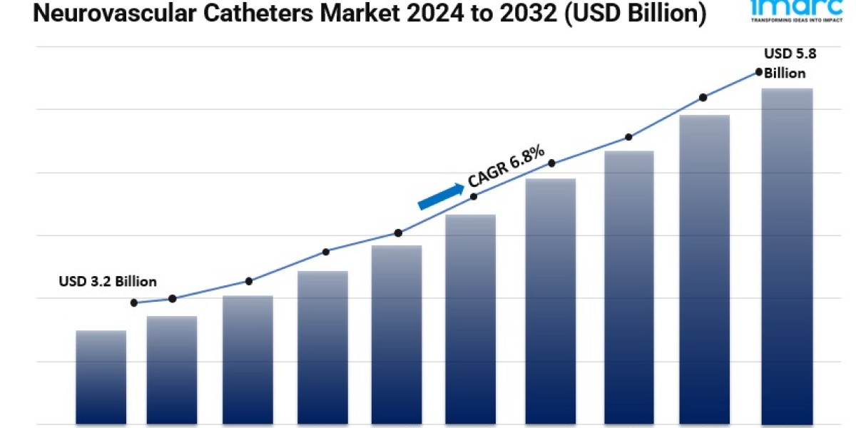 Neurovascular Catheters Market Size, Industry Overview, Latest Insights and Growth 2024-2032