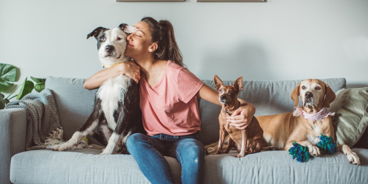 How to Provide the Best Care for Your Beloved Pet
