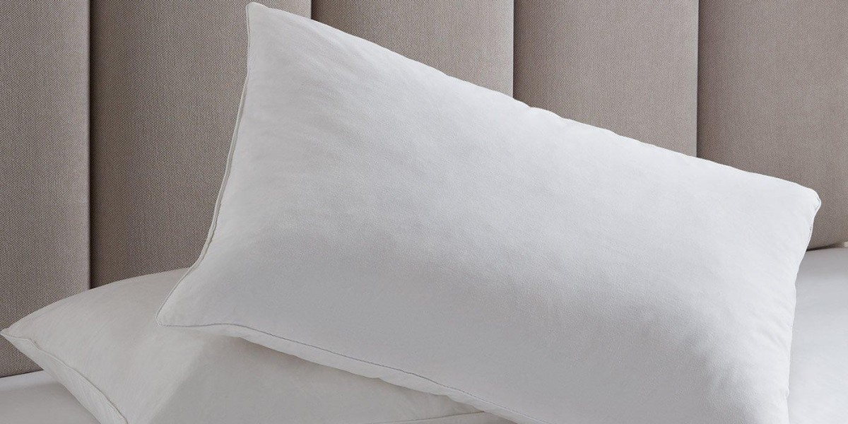 Bed Pillow Market Analysis, Size, Share, Growth, Trends, and Forecasts by 2031