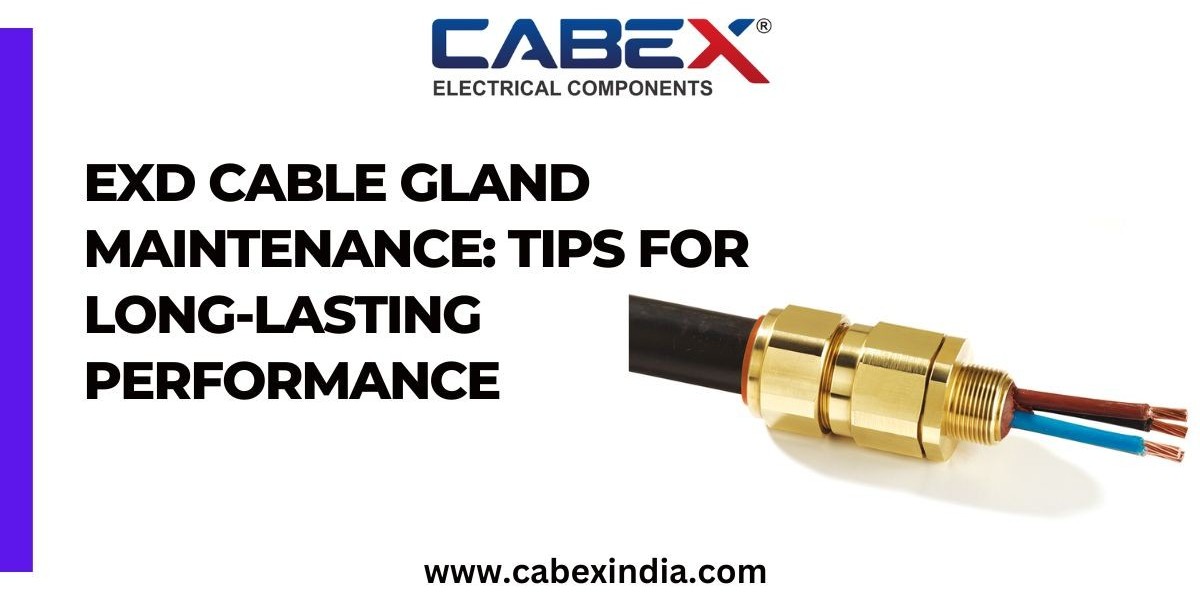 Exd Cable Gland Maintenance: Tips for Long-Lasting Performance