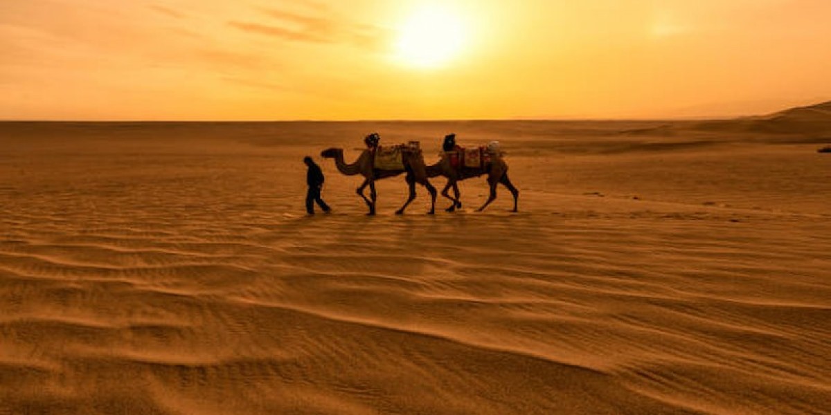 Top Reasons to Book an Evening Desert Safari in Dubai