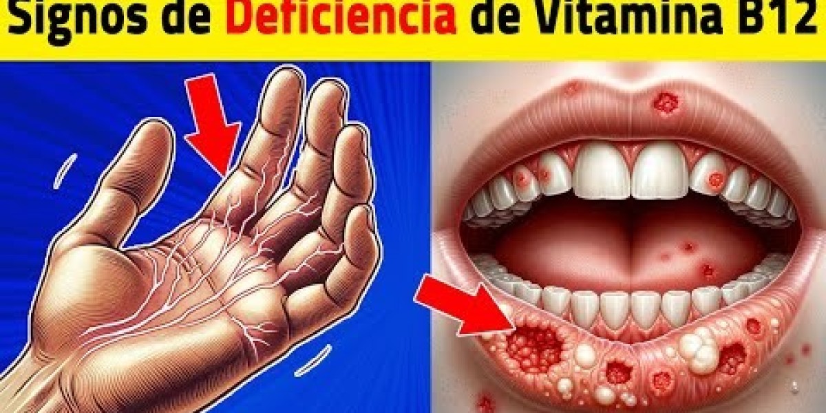 Científicos españoles descubren que la vitamina B12 es clave en la reprogramación celular