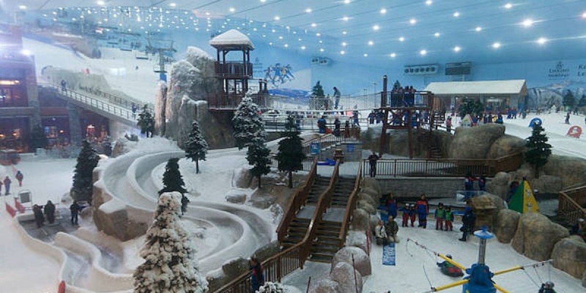 Top 5 Activities to Enjoy at Ski Dubai