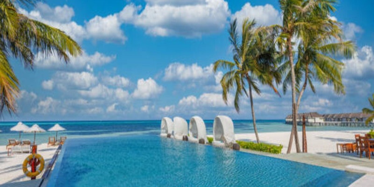 Discover the Top 10 Pools in Dubai to Visit in 2024