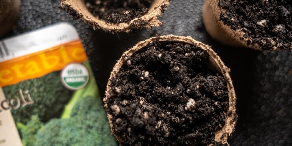 Top 5 Humic Based Biostimulants for Maximizing Crop Performance